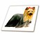 3dRose Yorkshire Terrier 6 Inch Ceramic Tile