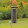 Perky-Pet Squirrel Stumper Caged Wild Bird Feeder