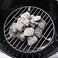 Weber 7439 Replacement Charcoal Grate