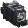 NEC Display Replacement Lamp - 330 W Projector Lamp - 2000 Hour Standard_ 3000 Hour ECO