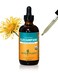 Herb Pharm Elecampane Liquid Extract for Respiratory System Support - 4 Ounce