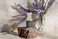 Eucalan Fine Fabric Wash 3.3 Oz: Lavender