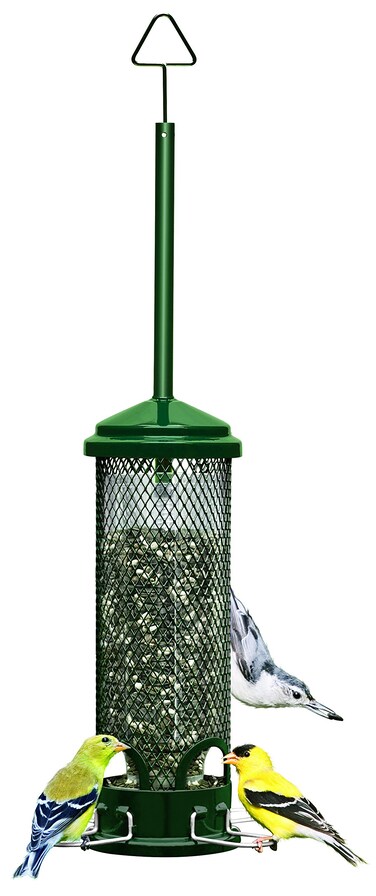Brome Squirrel Buster Mini Squirrel-proof Bird Feeder w/4 Metal Perches, 0.98-pound Seed Capacity