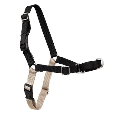 PetSafe Easy Walk No-Pull Dog Harness - The Ultimate Harness to Help Stop Pulling - Take Control &amp; Teach Better Leash Manners - Helps Prevent Pets Pulling on Walks, Petite/Small, Black/Silver
