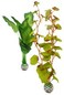 biOrb Silk Plant Set M green