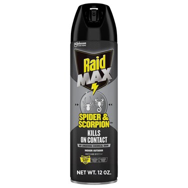 RAID SPIDER &amp; SCORPION