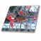 3dRose ct_16889_1 Robin in The Mountain Ash Tree 2 Ceramic T