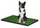 Four Paws Wee Patch - Medium