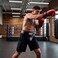 Ringside Deluxe Groin Abdominal Protector