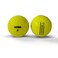 Nitro Maximum Distance Golf Ball (12-Pack)