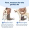 PetSafe Easy Walk No-Pull Dog Harness - The Ultimate Harness to Help Stop Pulling - Take Control &amp; Teach Better Leash Manners - Helps Prevent Pets Pulling on Walks, Medium, Raspberry/Gray