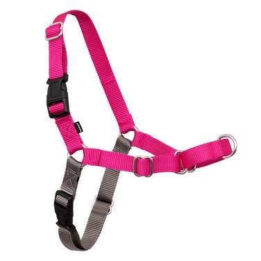 PetSafe Easy Walk No-Pull Dog Harness - The Ultimate Harness to Help Stop Pulling - Take Control &amp; Teach Better Leash Manners - Helps Prevent Pets Pulling on Walks, Medium, Raspberry/Gray