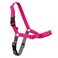 PetSafe Easy Walk No-Pull Dog Harness - The Ultimate Harness to Help Stop Pulling - Take Control &amp; Teach Better Leash Manners - Helps Prevent Pets Pulling on Walks, Medium, Raspberry/Gray