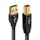 AudioQuest - Pearl - USB Cable (.75 Meter)