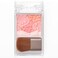 CANMAKE Glow Fleur CHeeks 02 Apricot Fleur