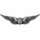 Vanguard Basic Aviation Army Crewman Wings Pin Oxidized, Silver, One Size