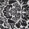 DII Cleaning Collection Multi-Purpose Microfiber, Black Damask, Dishcloth Set