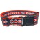 Pets First NFL Denver Broncos STRONG & ADJUSTABLE DOG Collar, Large