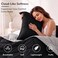 downluxe Lightweight Solid Comforter Set (Queen) with 2 Pillow Shams - 3-Piece Set - Black and Grey - Down Alternative Reversible Comforter