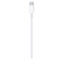 Apple USB-C Charge Cable - 2M