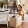 Bone Dry Pet Storage Collection Collapsible Bin, Medium Rectangle, Taupe