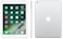Renewed Apple iPad with WiFi, 32GB, Silver (2017 Model) ()