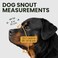 BronzeDog Dog Muzzle Wire Basket Rottweiler Adjustable Leather Straps (L)