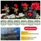 Pixel Timer Shutter Release Remote Control TW283-DC2 Remote Release for Nikon D5600 D3100 D3200 D3300 D5000 D5100 D5200 D5300 D5500 D90 D7000 D7100 D7200 D600 D610 D750