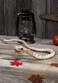 Crazy Bonez Slithering Skeleton Snake White