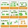 EUDAX School Physics Labs Basic Electricity Discovery Circuit and Magnetism Experiment kits for Kids Junior Senior High School Students Electromagnetism Elementary Electronics