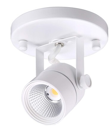CLOUDY BAY round spot light white