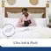 Cosy House Collection Luxury Down Alternative Comforter