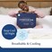 Cosy House Collection Luxury Down Alternative Comforter