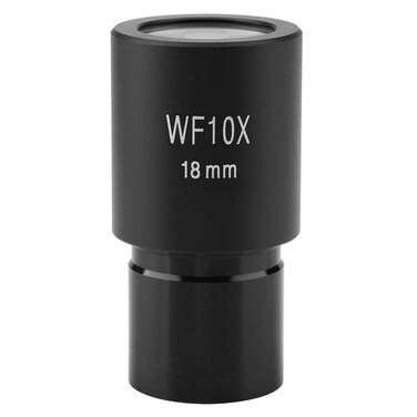 Walfront 10X Microscope Eyepieces Accessories for Optical Microscope Eyepieces Biological Microscopes Lens Adapters for Microscopes Diameter 23.2 mm