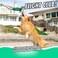 Hyper Pet Flippy Flopper, 2 Pack
