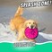 Hyper Pet Flippy Flopper, 2 Pack