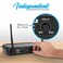 Pyle - Pro Wireless Microphone System (PDWM2145.5)