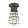 TENGIANTS Rustic Ceiling Lights Metal Caged Mini Close to Ceiling Lamp with Unique Rust Finish