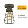 TENGIANTS Rustic Ceiling Lights Metal Caged Mini Close to Ceiling Lamp with Unique Rust Finish