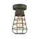 TENGIANTS Rustic Ceiling Lights Metal Caged Mini Close to Ceiling Lamp with Unique Rust Finish