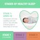 SwaddleMe by Ingenuity Pod - Size Small/Medium, 0-3 Months, 2-Pack (Dino Jam)