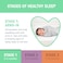 SwaddleMe Pod - Small/Medium, 2 Pack, Little Bees, 0-3 Months