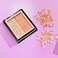 Wet N Wild Mega Glo BlUShlighter BlUSh And Highlighter Duo, Highlight Bling