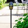 Limitless Innovations TikiTunes Portable Bluetooth Wireless Speaker (Bundle) with Adjustable 40” Pole and Ground Stake - Black