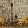 Limitless Innovations TikiTunes Portable Bluetooth Wireless Speaker (Bundle) with Adjustable 40” Pole and Ground Stake - Black