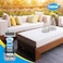 Carbona Pro Care Oxy Powered Outdoor Cleaner With Active Foam Technology   22 Fl Oz