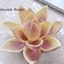 GRAINRAIN Polycarbonate Chocolate Mold DIY Candy Mould Clear Hard Plastic Bakeware Pastry Tools Drip