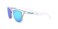 Oakley Men's Sunglasses Rectangular Frogskins