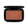 Make-Up Studio Make Up Professional Amsterdam Compact Earth Powder - Matte 5