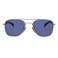 Beckham David Sunglasses